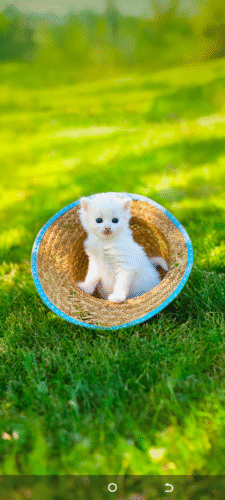 Skmei - 1652 (Strap) - Multifunctional Waterproof - RoseGold/White-Leather photo review